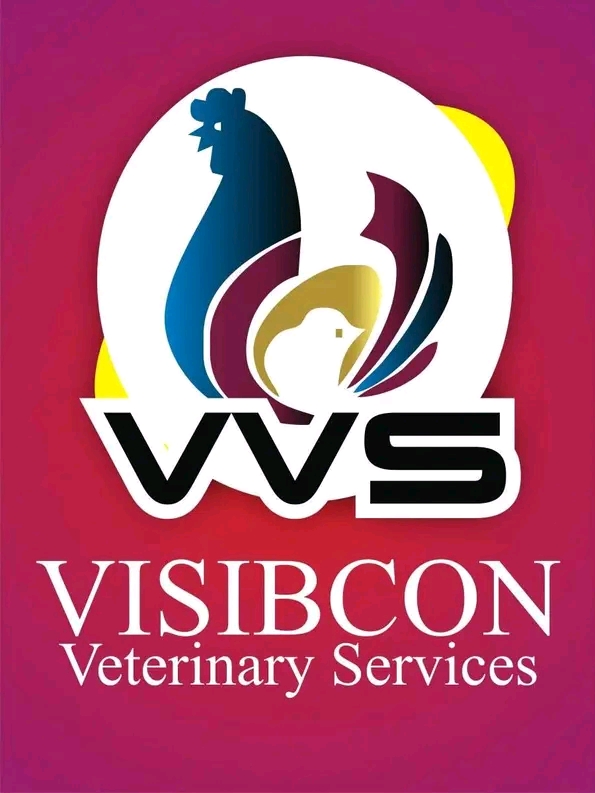 visibcon veterinary services logo